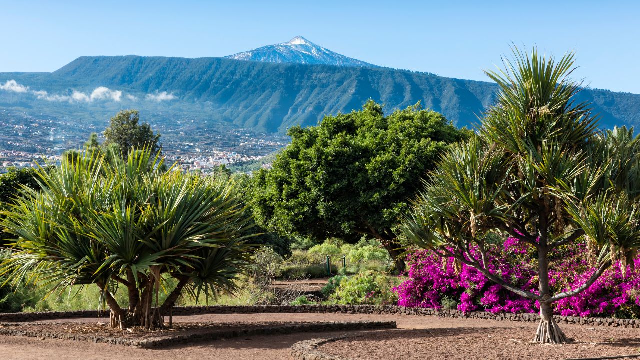 Cosa vedere a Puerto de la Cruz (Tenerife): Luoghi imperdibili e cose da fare