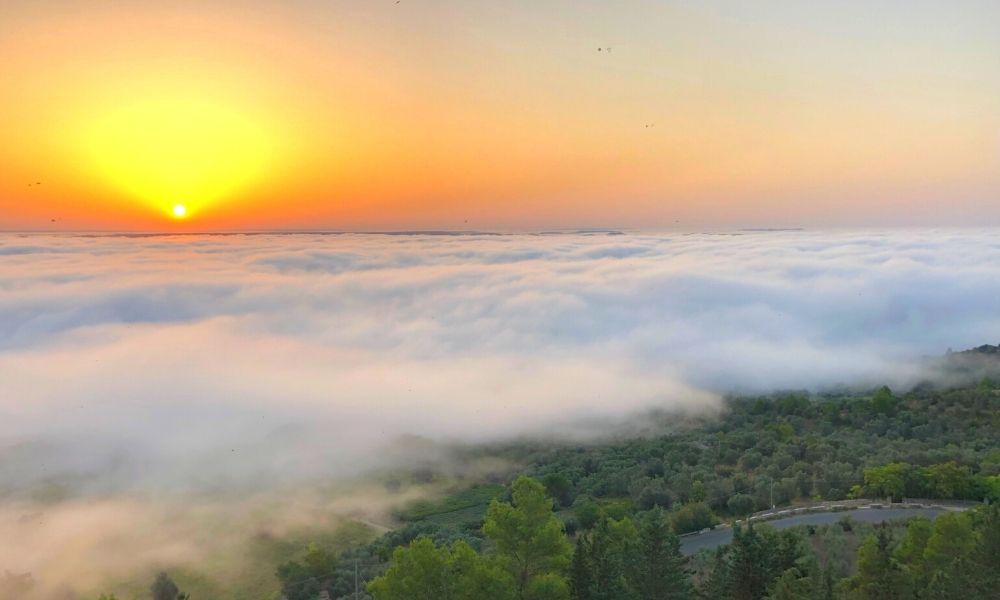 panorama-di-irsina-cosa-vedere-in-basilicata