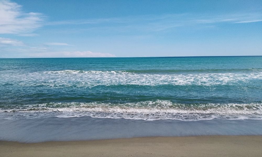 oasi-del-simeto-spiaggia-gay-spiagge-gay-sicilia
