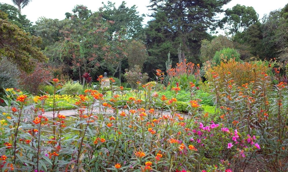 Quando andare in Colombia? Informazioni su meteo e stagioni
