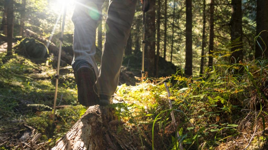 bosco-di-verrutoli-cosa-vedere-nei-dintorni-di-irsina-in-basilicata