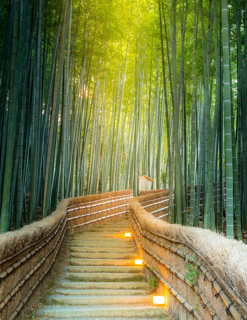 Foresta-di-bamboo-di-arashiyama-a-kyoto-cosa-vedere-itinerario-di-viaggio-in-giappone