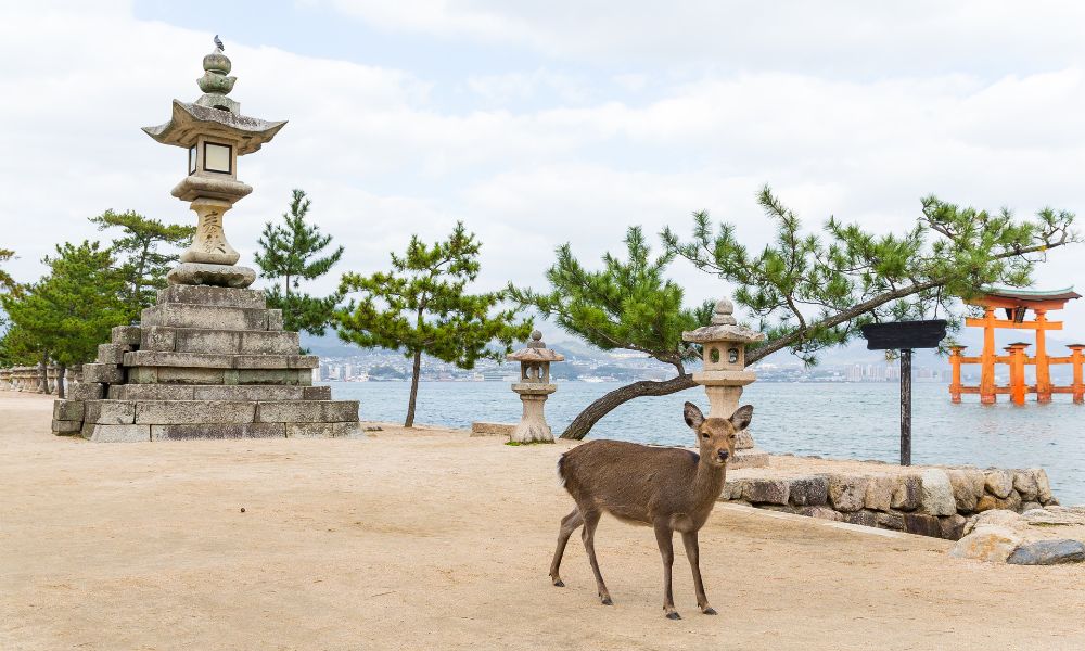 miyajima-cosa-vedere-itinerario-di-viaggio-in-giappone