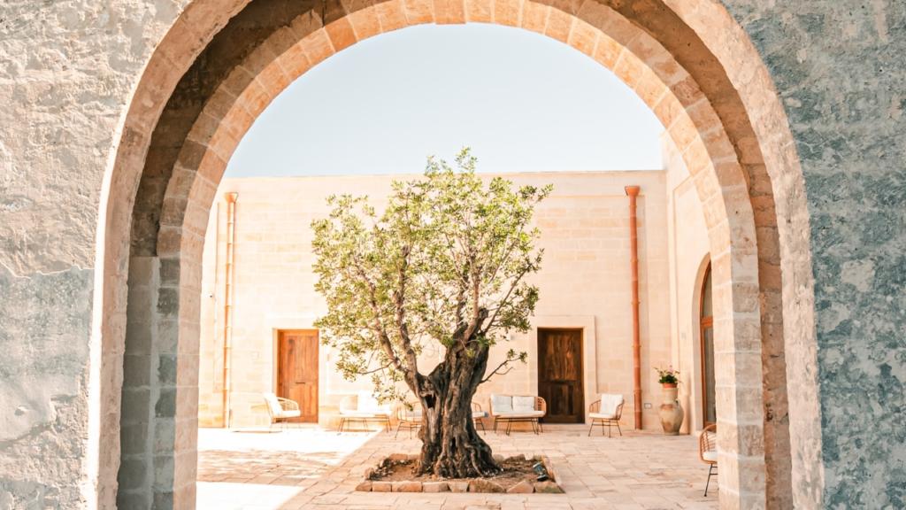 migliori-masserie-in-puglia-dove-dormire-masseria-in-valle-itria-masseria-in-salento-masseria-murgia