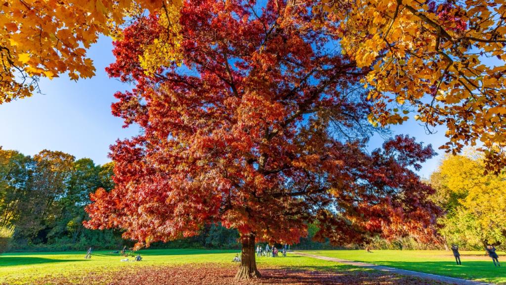 giardini-di-porta-venezia-a-Milano-in-autunno-per-il-foliage
